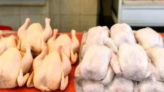 خبر رسمی درباره قیمت مرغ اعلام شد (۲۰ آبان ۱۴۰۴)