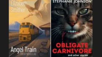 حذف ۲ کتاب به‌خاطر هوش مصنوعی