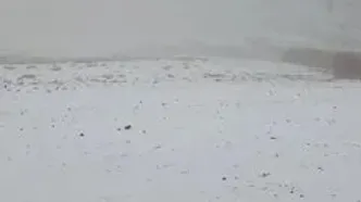 توچال برفی شد/ بارش برف در ارتفاعات پایتخت