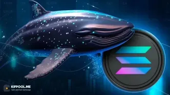 شرط ۲۶ میلیون دلاری یک نهنگ؛ آیا سولانا دوباره صعود می‌کند؟