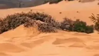 نظر رهبر انقلاب درباره مجسمه زانو زدن والرین در برابر پادشاه ایران