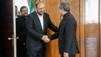 نایب رئیس جریان حکمت ملی عراق با عراقچی گفت‌وگو کرد