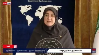 ببینید| سخنگوی دولت: درباره نرخ سوم بنزین به جمع‌بندی نرسیدیم