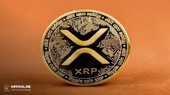 رشد شدید کیف پول‌های جدید ریپل؛ هدف ۶ دلاری برای XRP در افق؟
