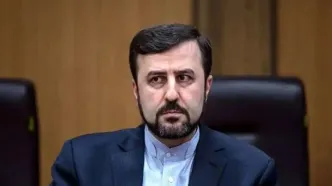 غریب‌آبادی: موضوع هسته‌ای بهانه است