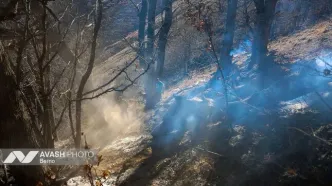 دستور رئیس سازمان بازرسی به بازرس کل استان مازندران در پی وقوع آتش‌سوزی در بخش‌هایی از جنگل‌های هیرکانی