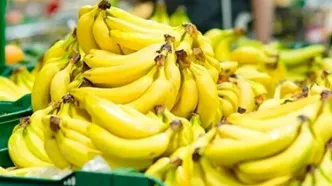 تکذیب توقف واردات موز/ واردات و صادرات محصولات کشاورزی طبق روال قبلی در حال انجام است