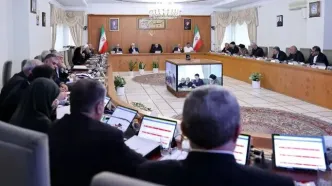 ارائه گزارش وزیر تعاون از کیفیت اجرای طرح کالابرگ