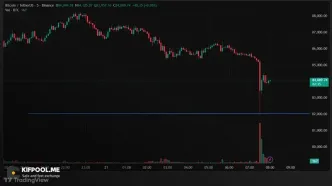بیت‌کوین ۸۲ هزار دلار! بازار وحشت‌زده شد؛ آینده چه می‌شود؟