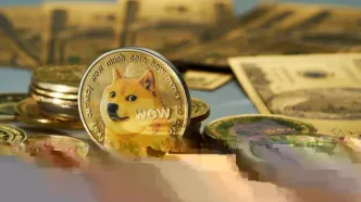 ریزش ۷۰ درصدی دوج‌کوین در آستانه راه‌اندازی ETF رسمی