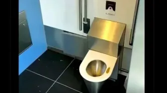 این توالت بعد از هر بار استفاده خودش را تمیز می‌کند