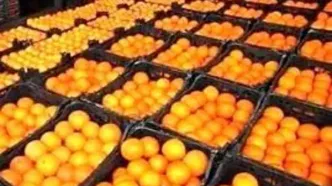 ماجرای پرتقال سمی در ایران چیست؟