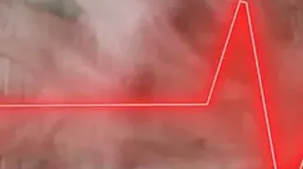 هوای سمی، کار اجباری و عمر کوتاه کارمندان بخش خصوصی