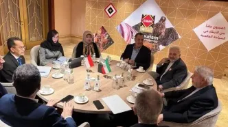 صالحی‌امیری: گسترش روابط گردشگری، اولویت راهبردی دو کشور است/ واردانا: آماده تقویت همکاری‌ها در سطح استراتژیک هستیم