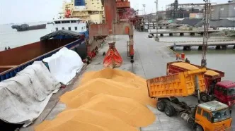 خرید و فروش نهاده در بازار آزاد ممنوع است