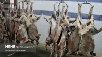 گوشت قرمز گران شد: حذف ارز ترجیحی شوک جدید به سفره مردم