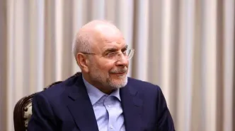 پاسخ قالیباف به سوال مجری مشهور پاکستانی درباره انتخاب شهردار نیویورک