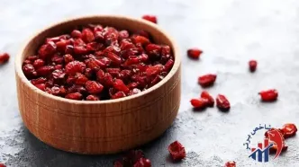 محصول محبوب ایرانی‌ها به ۱۶ کشور صادر شد