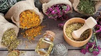 سهم ناچیز ایران از تجارت ۴۸۰ میلیارد دلاری گیاهان دارویی!