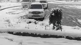 ارتفاع برف در این نقطه به ۲۰ سانتیمتر رسید