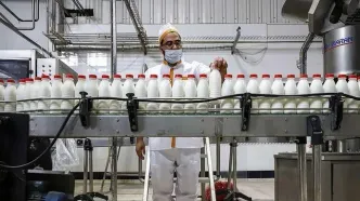 نوبت به گرانی محصولات لبنی رسید