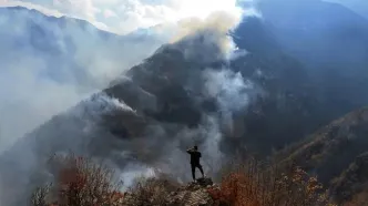فیاض، نماینده مجلس: هواپیماهای ترکیه توانستند تا حدی آتش جنگل الیت را مهار کنند؛ امروز باید آتش‌سوزی تمام شود