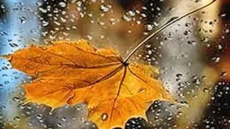 اولین باران پاییزی در تهران