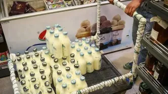 قیمت جدید لبنیات؛ شیر و ماست امروز جمعه ۷ آذر ۱۴۰۴ چند؟