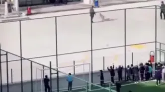 وحشت‌آفرینی سگ ولگرد در حیاط مدرسه