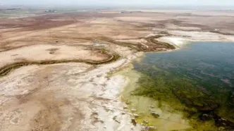 ۵۸ درصد تالاب شادگان خشک شده است/ تخصیص تنها نیمی از حق‌آبه تالاب