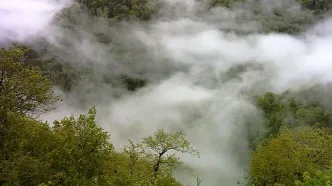 پاسخ تند سازمان محیط‌زیست به گزارش مجلس درباره آتش‌سوزی جنگل‌های الیت