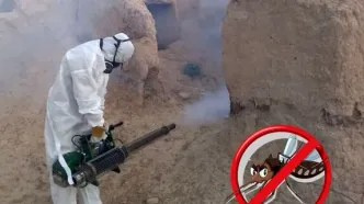 سد شکنی ۷۰ درصدی آمار سالک در جرقویه؛ چگونه کانون‌های بیماری در اصفهان مهار شدند؟