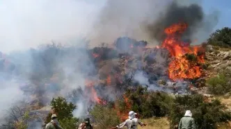 دخالت انسان در آتش‌سوزی الیت قطعی است