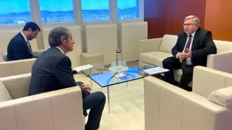 رایزنی اولیانوف با گروسی درباره ایران