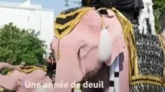 رژه فیل‌های صورتی در تایلند برای ادای احترام به ملکه مادر