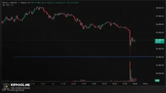 بیت‌کوین ۸۲ هزار دلار! بازار وحشت‌زده شد؛ آینده چه می‌شود؟