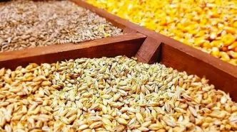 ادامه خالی فروش در سامانه بازارگاه/ جولان دلالان موجب شکست سامانه شد