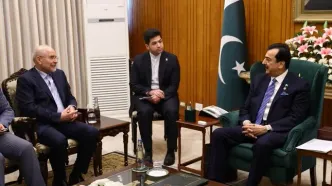 دیدار گیلانی رئیس مجلس سنای پاکستان با قالیباف