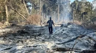 مقصران آتش‌سوزی جنگل‌های الیت چه کسانی هستند؟