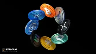 ۵ ارز دیجیتالی که هم‌زمان با سقوط بیت‌کوین جهش کردند