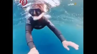 نجات معجزه‌آسای غواص زن از دهان نهنگ عظیم‌الجثه