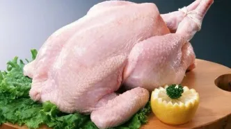 قیمت مرغ امروز ۲۴ آبان ۱۴۰۴ | سینه و ران مرغ کیلویی چند؟