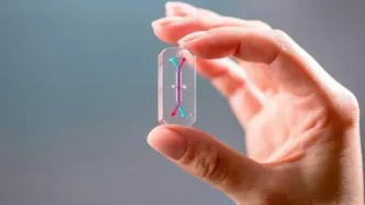 نبض فناروی جهان در دستان این ۵ غول است