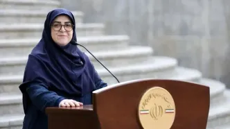 توضیح سخنگوی دولت درخصوص بازداشت برخی از اساتید دانشگاه و نویسندگان