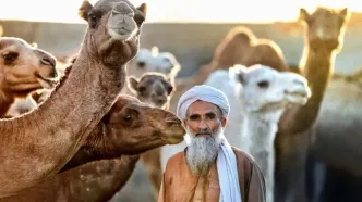 تصاویر؛ «چابهار» رنگ، فرهنگ و زندگی