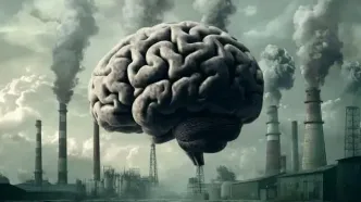 اثرات پنهان آلودگی هوا بر «پیری زودرس مغز»