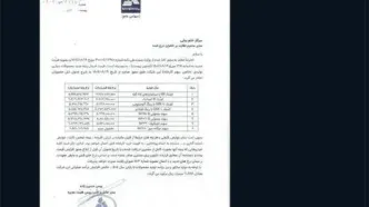 توییت جنجالی آمنه سادات ذبیح پور / مافیای خودرو و باران به هم ربط پیدا کرد!