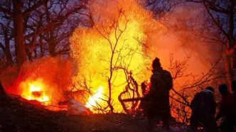 عامل آتش‌سوزی جنگل‌های چالوس انسانی است؟
