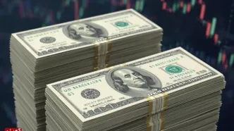 دلار 1000 تومان گران شد | تلاش دلار آزاد برای تثبیت در کانال ۱۱۳ هزار تومان | فاصله 2 کانالی دلار هرات با دلار آزاد