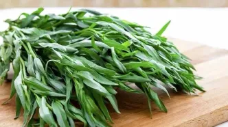 شهر ترخون ایران کجاست؟